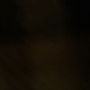 Meet your Posher, Blake